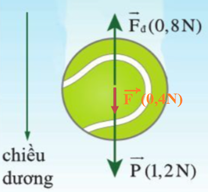 Ta thu được vectơ hợp lực F hướng xuống dưới và có độ lớn 0,4 N phù hợp với kết quả tính toán.