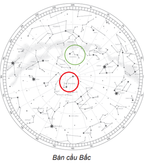 Trả lời:

- Chòm sao Gấu Lớn còn được gọi là chòm sao Cán Gáo Lớn. Chòm sao này thường xuất hiện trên đỉnh đầu người quan sát vào mùa xuân và do đó rất dễ quan sát, ở gần chân trời cực Bắc vào mùa thu, ở phía cao trên thiên cầu và lệch về phía Đông Bắc trên bầu trời vào mùa đông và ở phía cao trên thiên cầu và lệch về phía Tây Bắc vào mùa hè. Bảy ngôi sao chính của chòm Gấu Lớn lần lượt có tên là alpha, beta, gamma, delta, epsilon, zeta và eta    

- Chòm sao Gấu Bé còn được gọi là chòm Cán Gáo Bé. Chòm sao này có phương phụ thuộc vào từng thời điểm quan sát trong đêm và từng đêm trong năm. Đầu Cán Gáo Bé chính là sao Bắc Cực. Tên gọi của bảy ngôi sao trong chòm sao Gấu Bé cũng tương tự như chòm sao Gấu Lớn.    

- Chòm sao Thiên Hậu được tạo thành từ 5 ngôi sao trên bầu trời phương Bắc, có dạng chữ W hay chữ M, nằm đối diện với chòm sao Gấu Lớn qua chòm sao Gấu Bé. Trong đêm, chòm Thiên Hậu nằm thấp về phía Bắc – Tây Bắc vào mùa xuân, nằm thấp về phía Bắc – Đông Bắc vào mùa hè, gần với thiên đỉnh vào mùa thu và nằm cao về phía Bắc – Đông Bắc vào mùa đông. Năm ngôi sao chính của chòm Thiên Hậu
