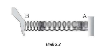 Trên Hình 5.3, đầu A của lò xo được giữ cố định, đầu B dao động tuần hoàn theo phương ngang. Sóng trên lò xo là sóng (1)... vì (2)...   Chọn từ/cụm từ thích hợp trong các đáp án dưới đây để điền vào các chỗ trống. A. (1) ngang, (2) mỗi điểm trên lò xo dao động theo phương ngang. B. (1) dọc, (2) mỗi điểm trên lò xo dao động theo phương ngang. C. (1) ngang, (2) mỗi điểm trên lò xo dao động theo phương thẳng đứng D. (1) dọc, (2) mỗi điểm trên lò xo dao động theo phương thẳng đứng. (ảnh 1)