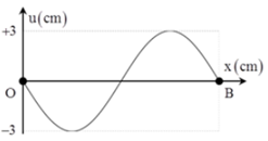 Trên một sợi dây đàn hồi với hai đầu dây là O và B cố định đang có sóng dừng với chu kỳ T thỏa mãn hệ thức: 0,5 s < T < 0,61 s . Biên độ dao động của bụng