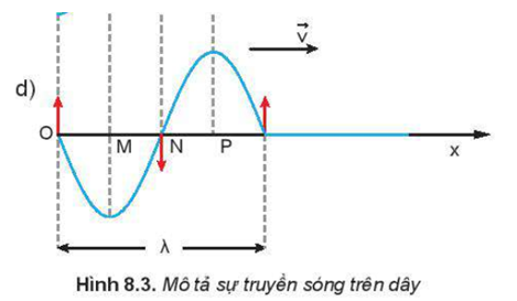 Trong đồ thị của sóng Hình 8.3d, các điểm nào trong các điểm M, N, P trên phương Ox dao động lệch pha π2, ngược pha, đồng pha với nhau?