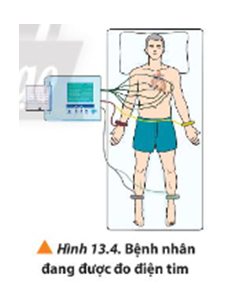 Trong máy đo điện tim, các điện cực được sử dụng để đo hiệu điện thế giữa các điểm khác nhau trên da của bệnh nhân, thường không vượt quá 1 mV đối với