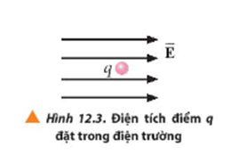 Trong một vùng không gian có điện trường mà các đường sức điện trường có phương nằm ngang, song song với nhau và chiều như Hình 12.3. Hãy xác định hướng của lực điện trường tác dụng lên điện tích q trong các trường hợp: a) q > 0.  b) q < 0.   (ảnh 1)