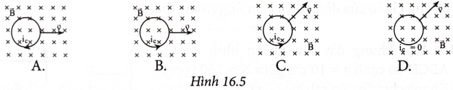 Trường hợp nào trong Hình 16.5 là đúng khi cho vòng dây tịnh tiến với vận tốc v⇀ trong từ trường đều?

 