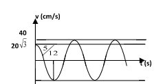Vận tốc của một vật dao động điều hòa biến thiên theo đồ thị như hình vẽ. Lấy \({\pi ^2}\)  = 10, phương trình dao động của vật là