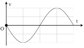 Vận tốc của một vật dao động điều hòa phụ thuộc vào thời gian theo đồ thị như hình vẽ. Mốc thời gian được chọn là lúc chất điểm: