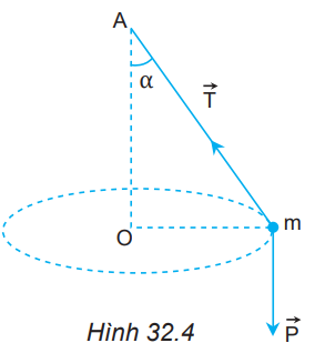 Vẽ hợp lực của lực căng dây T→    và trọng lực P→  , từ đó xác định lực hướng tâm trong Hình 32.4.