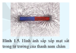 Vì sao mạt sắt trong thí nghiệm Hình 1.5 lại được sắp xếp thành hình dạng nhất định?