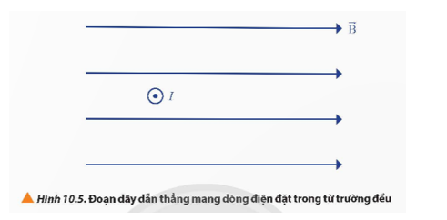 Xác định phương và chiều của lực từ tác dụng lên đoạn dây dẫn thẳng mang dòng điện I đặt trong từ trường đều như  (ảnh 1)