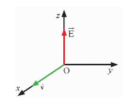 Xác định vectơ cảm ứng từ B→  của sóng điện từ tại một thời điểm trong Hình 12.10.

Hình 12.10. Phương, chiều vecto cường độ điện trường E→  và chiều truyền